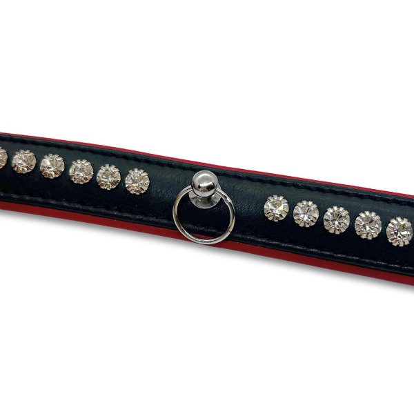 Black and Red Leather Rhinestone Collar