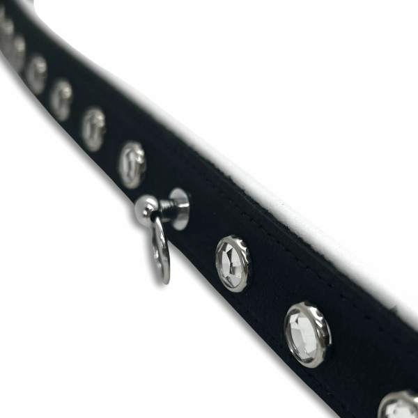 Luxury black and white leather rhinestone collar