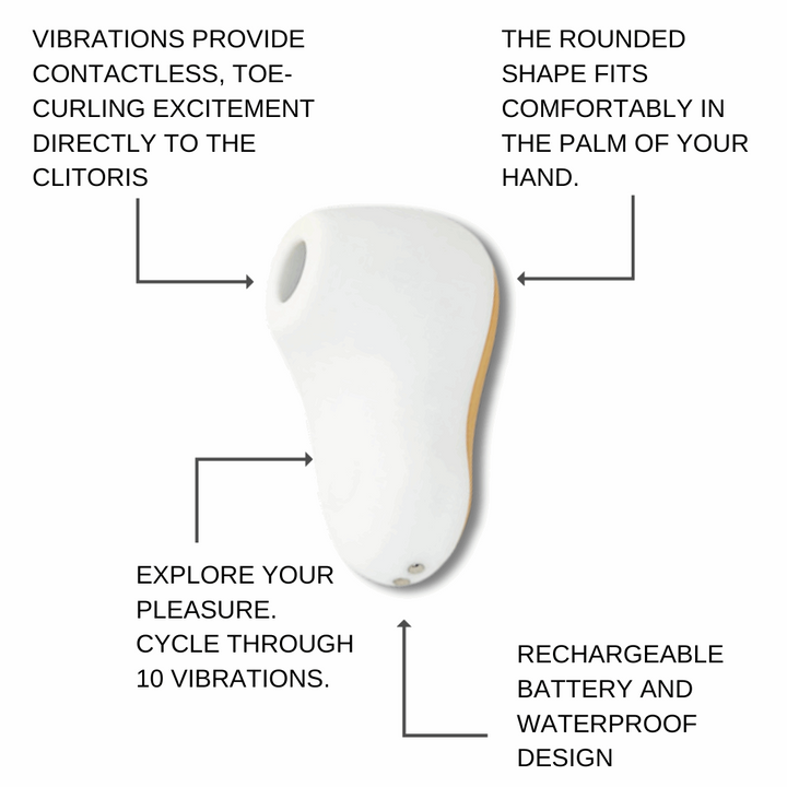 Air pulse vibrator